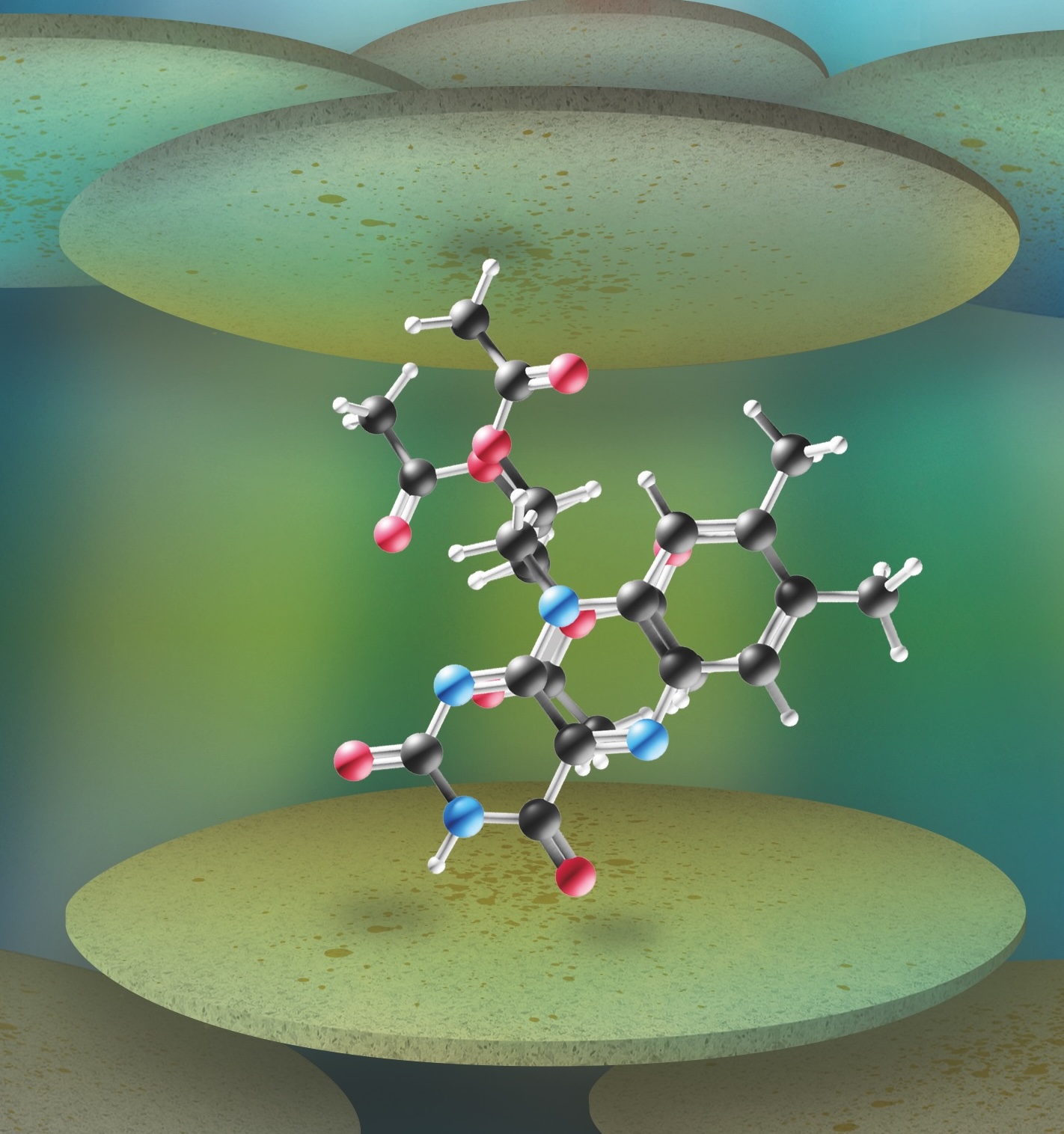 Publications Fruk Lab