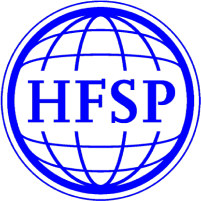 HFSP