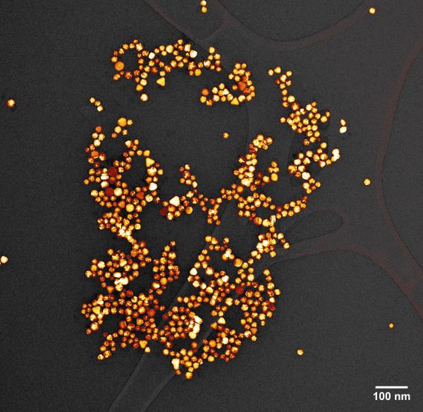 Gold nanoparticles